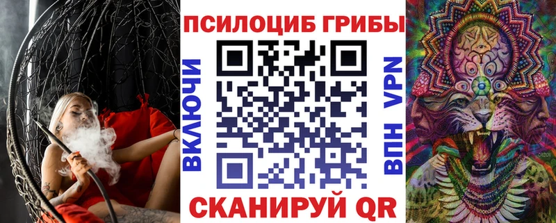 Купить где  Щучье  Псилоцибиновые грибы прущие грибы 